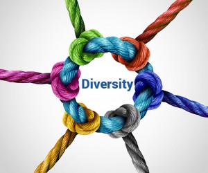 Diversity_icon-300x250